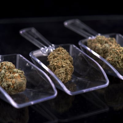Cannabis Dispensary